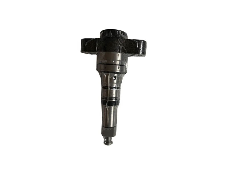 Pít tông nhiên liệu diesel 2469403181